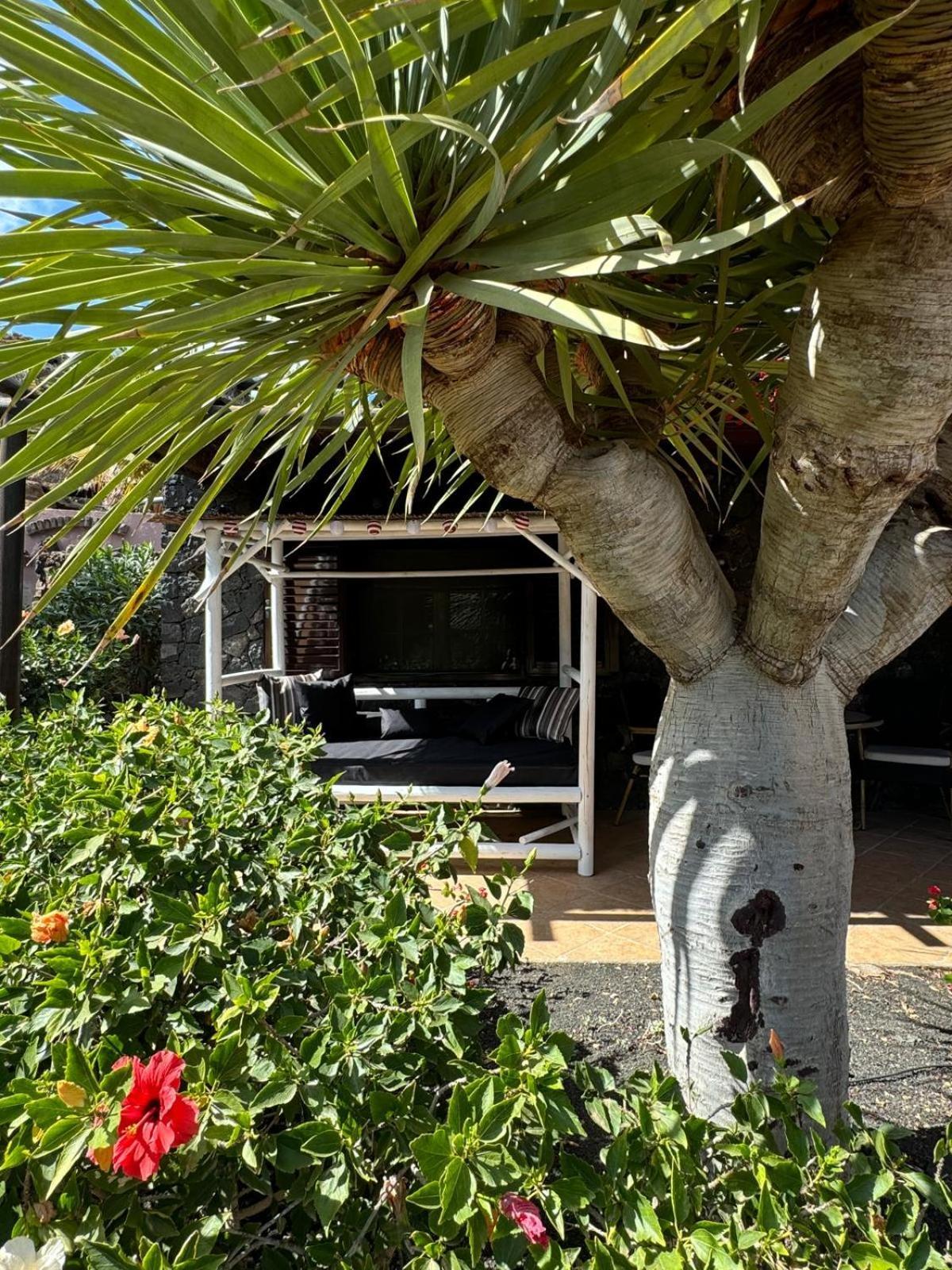 Castillo Lanzarote Villa Bailey - Luxury Villa - Pet Friendly With Heated Pool La Asomada  Buitenkant foto
