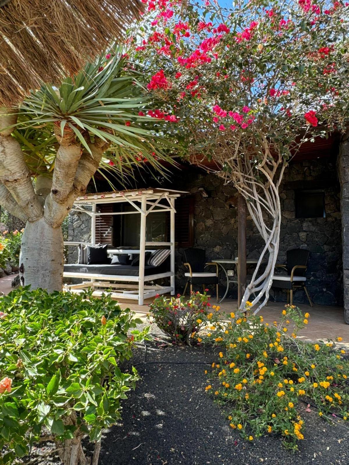 Castillo Lanzarote Villa Bailey - Luxury Villa - Pet Friendly With Heated Pool La Asomada  Buitenkant foto